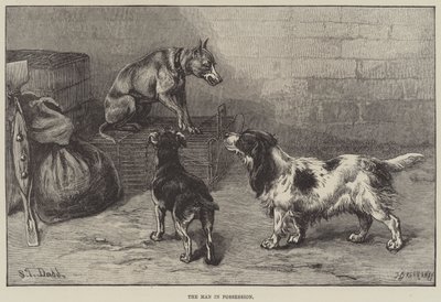 Sahiplenen Adam by S.T. Dadd